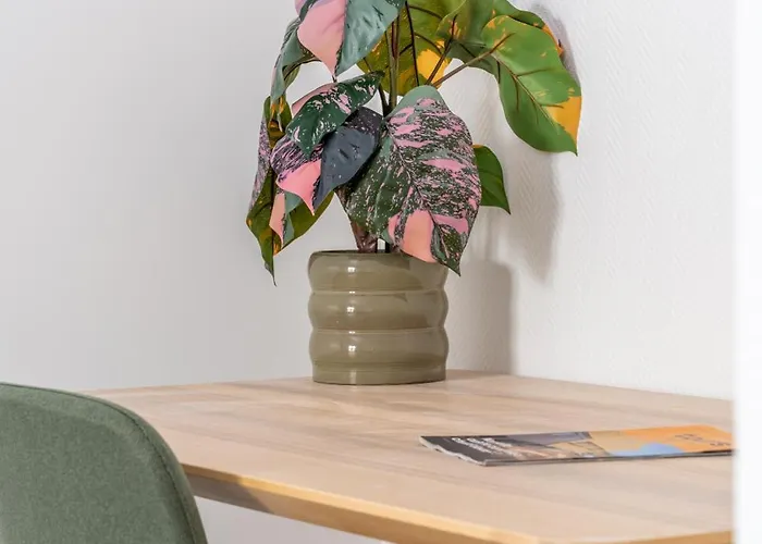 Lejlighed Maison Camelia Grand T2 - 1 *